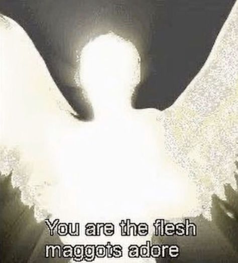 Glowing angel with the words You are the flesh maggots adore